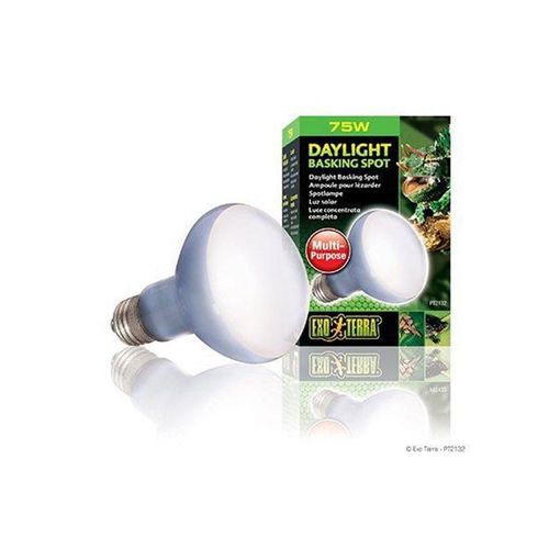EXO TERRA - Daylight Basking Spot 75W R20 E27 Green - (220.2720)