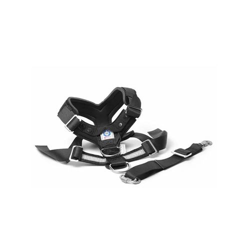 Mimsafe - Allsafe Xl >55kg Car harness