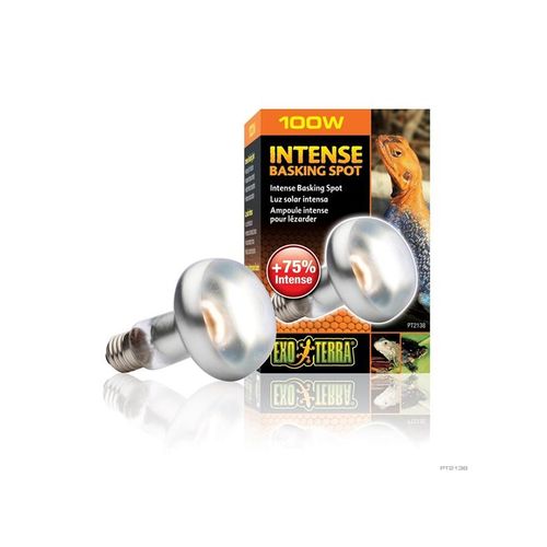 EXO TERRA Sun Glo intense basking spot 100 w m/UVA