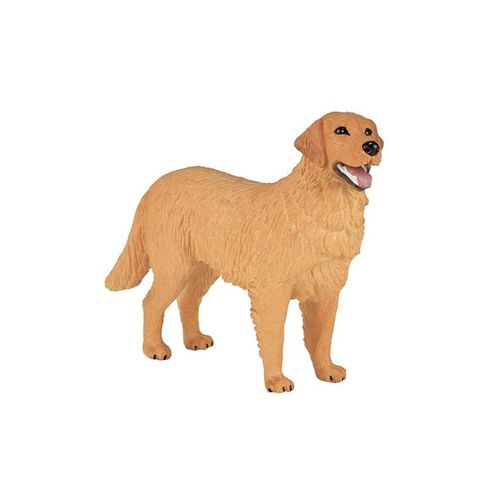 Mojo Farmland Golden Retriever