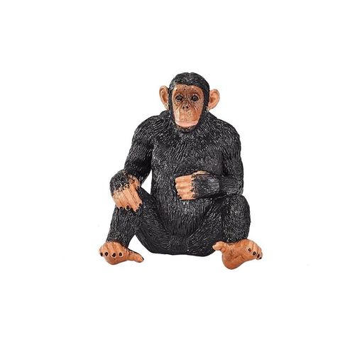 Mojo Wildlife Chimpanzee
