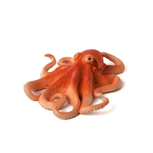 Mojo - Sealife Octopus