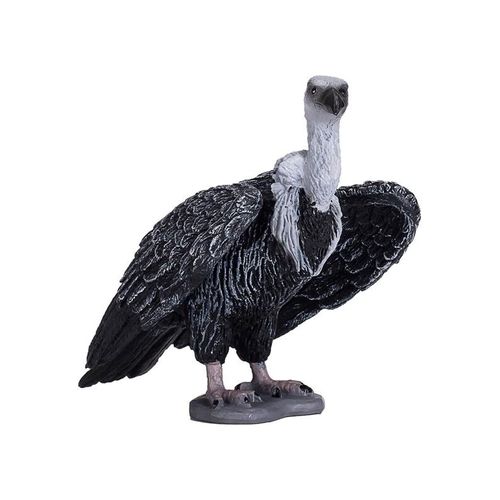 Mojo - Wildlife Griffon Vulture - 387165