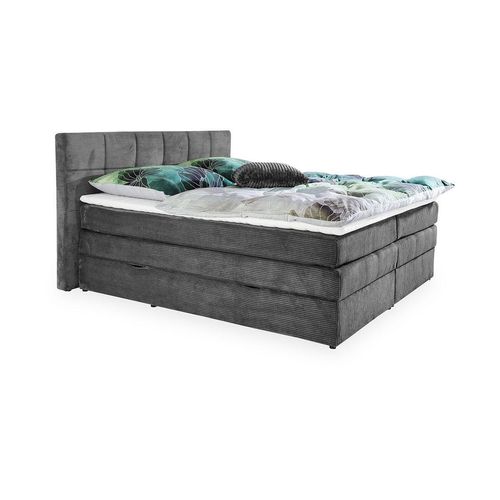 Boxspringbett ALICANTE Image