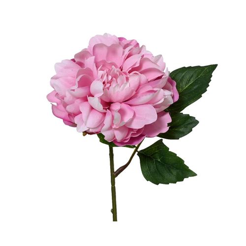 Kunstblume PFINGSTROSE