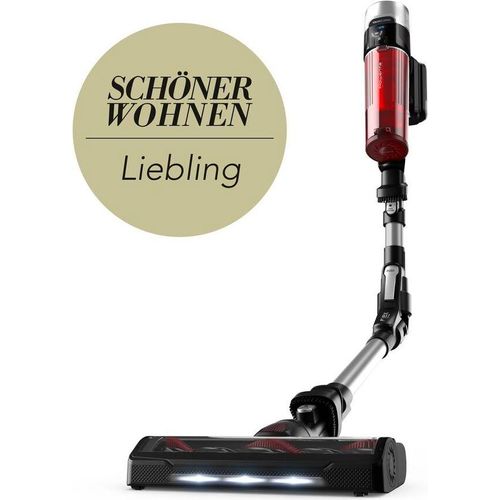 Rowenta Akku-Staubsauger X Force Flex 9.60 Animal RH2077
