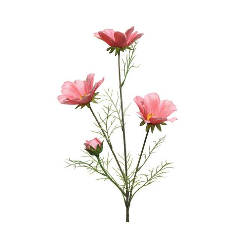 Kunstblume COREOPSIS