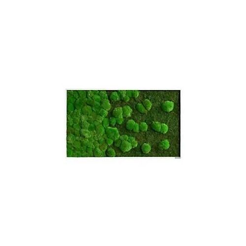 best of GREEN Mossbild 100 x 4 x 60 cm