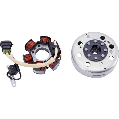 RMS Dynamo Lichtmaschine Piaggio 50 ccm
