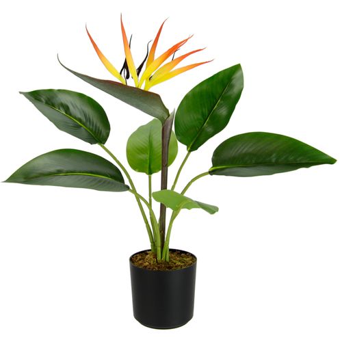 Kunstpflanze I.GE.A. 