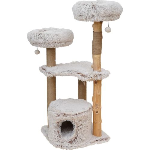 EBI Kratzbaum Marseille