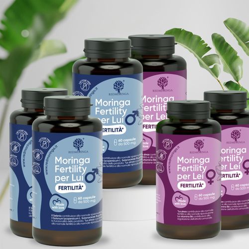 Fruchtbarkeitsbehandlung für Ihn & Sie – Umfassende Unterstützung für die Empfängnis als Paar – 3 Monate