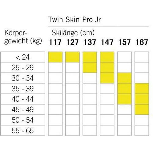 Fischer TWIN SKIN PRO JR MOUNTED Kinder Classic Langlaufski Einsteiger 25/26 schwarz 147