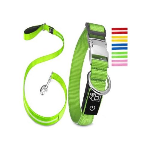 Petsation Leuchthalsband + Leine grün S