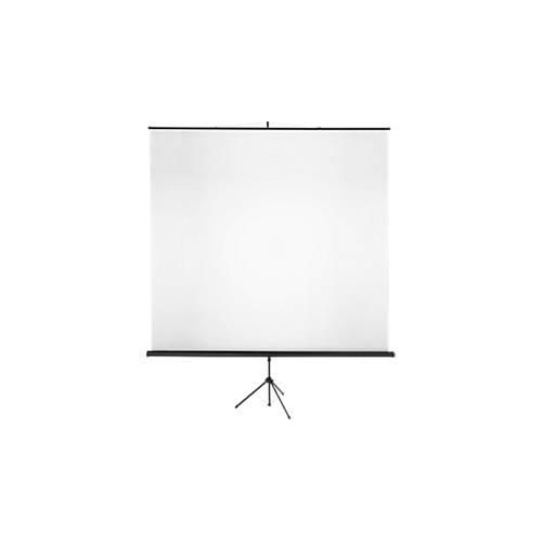 Stativ-Leinwand Classic, B 2000 x H 2000 mm, Teilung 1:1, höhenverstellbar, mit Griff, Gewebe und Metall, schwarz-weiß