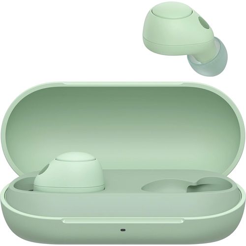 Sony WF-C700N kabellos, Bluetooth, Noise Cancelling Kopfhörer (kleine, leichte Kopfhörer mit Bluetooth Multipoint Connection, IPX4, bis zu 20h Akkulaufzeit, Schnellladung, iOS & Android) Salbeigrün