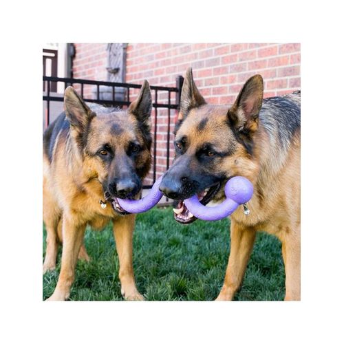 KONG Hundespielzeug Ogee Stick 30cm