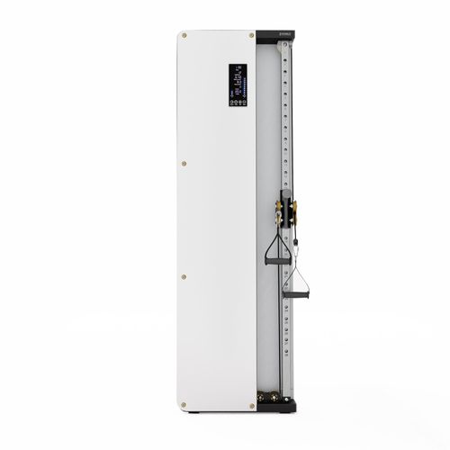 HMS BS302 Doppelkabelzug Kraftstation | Commercial Wandmontierte Kabelzugstation mit 2×50 kg Gewichten