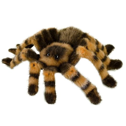 Kösen Rotknievogelspinne 22 cm