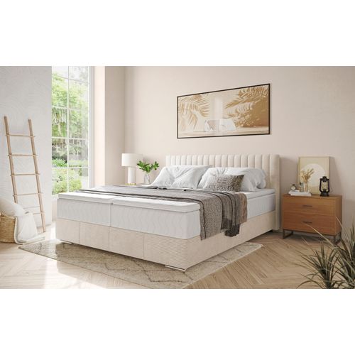 Boxbett INOSIGN