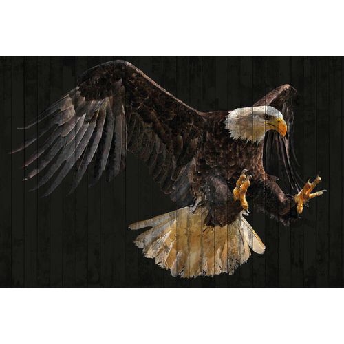 Fototapete ARCHITECTS PAPER 