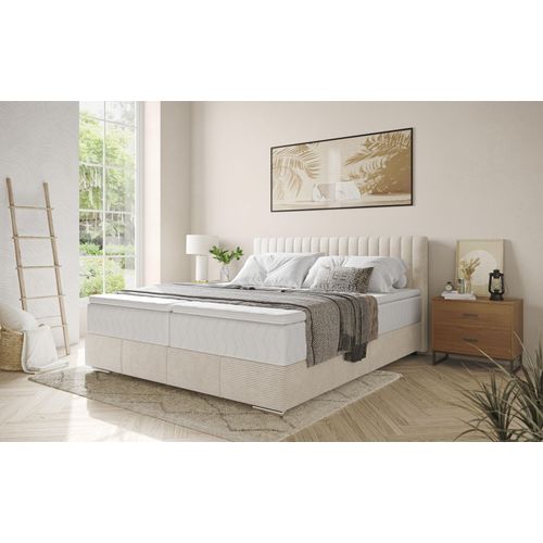 Boxbett INOSIGN