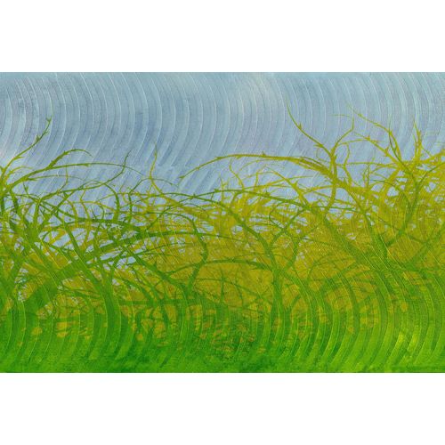 Fototapete ARCHITECTS PAPER 