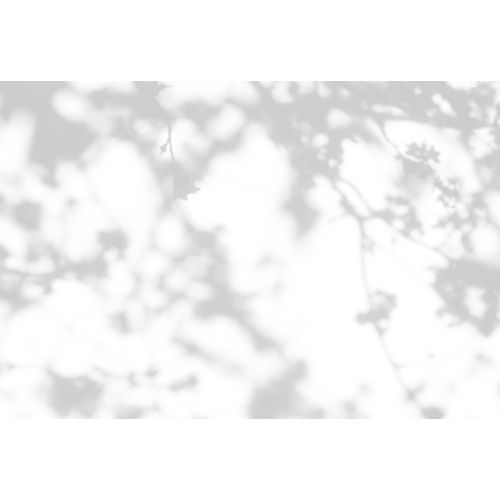 Fototapete LIVING WALLS 