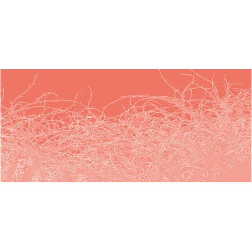 Fototapete ARCHITECTS PAPER 