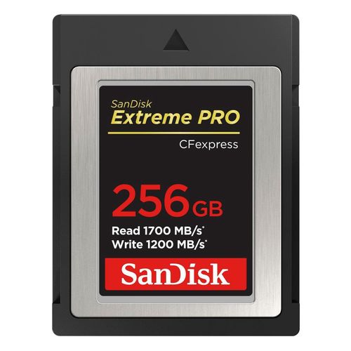 SANDISK Speicherkarte 