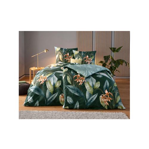 Bettwäsche KAEPPEL Gr. 3, grün (jade), B/L: 155cm x 220cm, Feinbiber, B/L: 80cm x 80cm, 2 Stk., Feinbiber, 100% Baumwolle, Bettwäsche