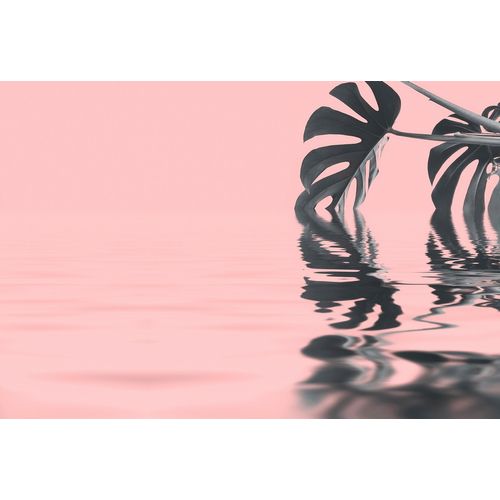 Fototapete LIVING WALLS 