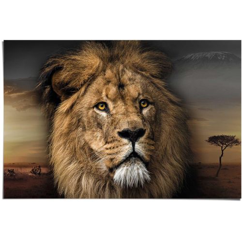 Poster REINDERS "Löwenkopf", grün (farbe bild(er): khaki), B:91,5cm H:61cm, Papier, Bilder, Poster