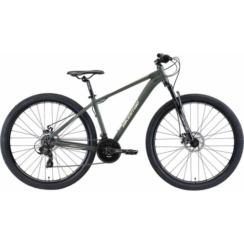 Mountainbike BIKESTAR Gr. 43, grün, Fahrräder, 43cm, 29 Zoll (73,66cm), für Damen und Herren, Kettenschaltung