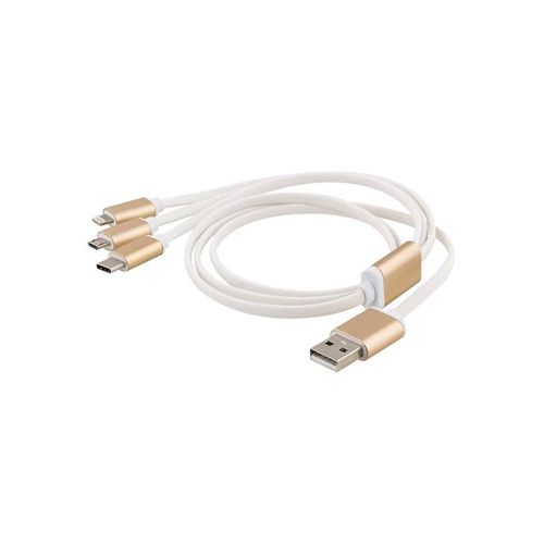 EPZI Lightning cable - Lightning / USB - 1 m