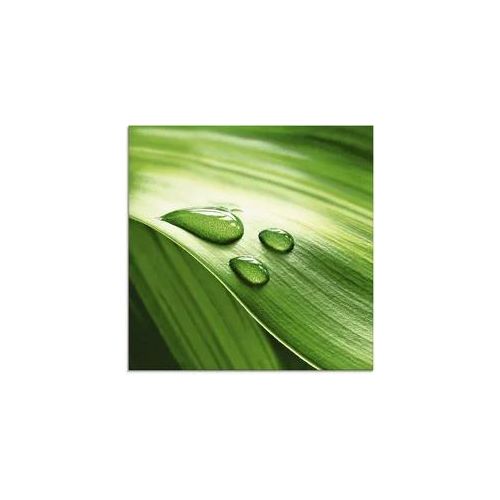 Glasbild ARTLAND "Nahaufnahme eines grünen Pflanzenblattes", grün (farbe bild(er): grün), B:20cm H:20cm, Bilder, in verschiedenen Größen
