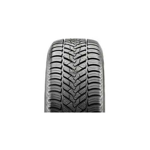 Ganzjahresreifen CST (CHENG SHIN TIRE) ACP1 215/65 R16 102V XL
