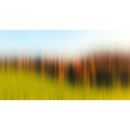 Fototapete ARCHITECTS PAPER 