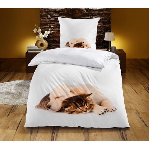 Bettwäsche KINZLER "Hund & Katze", bunt, B/L: 135cm x 200cm, 1 Stk., 1 Stk., Renforcé, B/L: 80cm x 80cm, 2 Stk., Renforcé, Obermaterial: 100% Baumwolle, Bettwäsche, Bettwäsche, aus Baumwoll-Renforcé