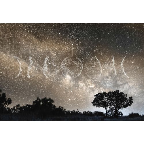 Fototapete ARCHITECTS PAPER 