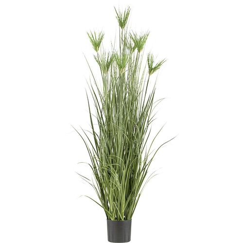 Künstliche Pflanze Cyperus longus Gras, Kunststofftopf, Höhe 1800 mm kaiserkraft