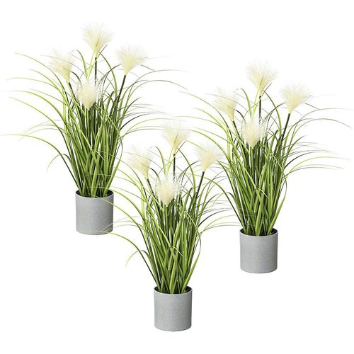 Riedgras, in grauem Topf, VE 3 Stk, Höhe ca. 500 mm kaiserkraft