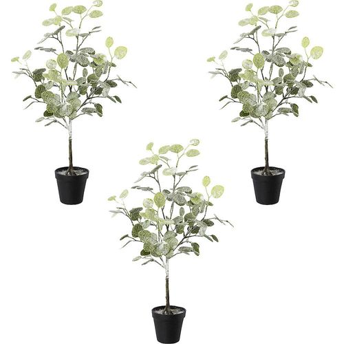 Eukalyptus im Topf, geeist, VE 3 Stk, Gesamthöhe 580 mm kaiserkraft