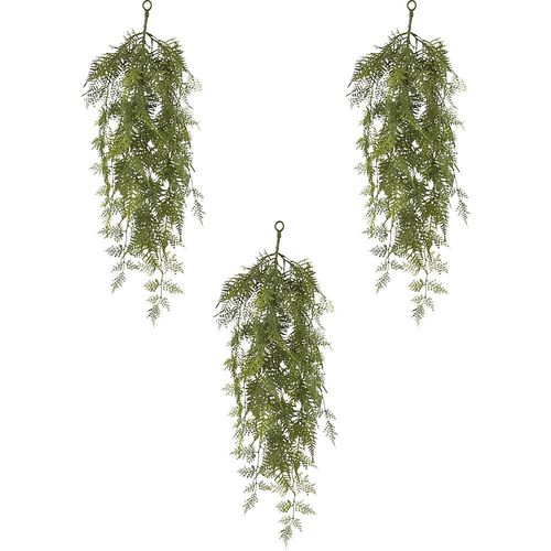 Asparagus setaceus Hänger, VE 3 Stk, Höhe 900 mm kaiserkraft