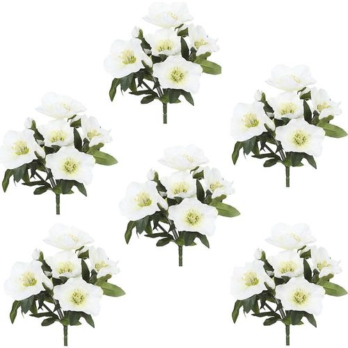 Christrosenbüsche, 6 Stück, grün mit weißen Blüten, Höhe 250 mm kaiserkraft