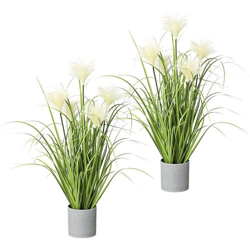 Riedgras, in grauem Topf, VE 2 Stk, Höhe ca. 660 mm kaiserkraft