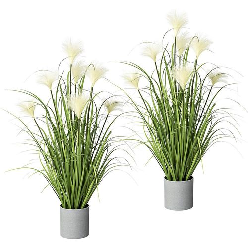 Riedgras, in grauem Topf, VE 2 Stk, Höhe ca. 760 mm kaiserkraft