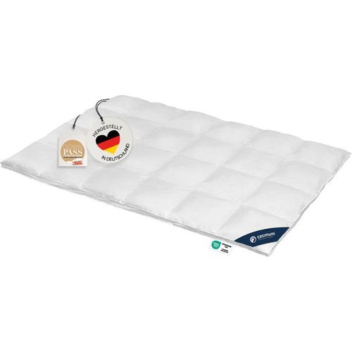 Daunendecke 155x220 cm, polar warme Winterdecke, Bettdecke 100% Daunen, DOWNPASS, CASIMUM