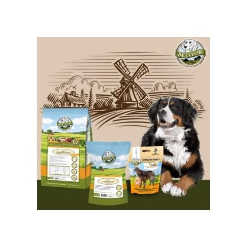 Bellfor Berner Sennenhund Futter Set