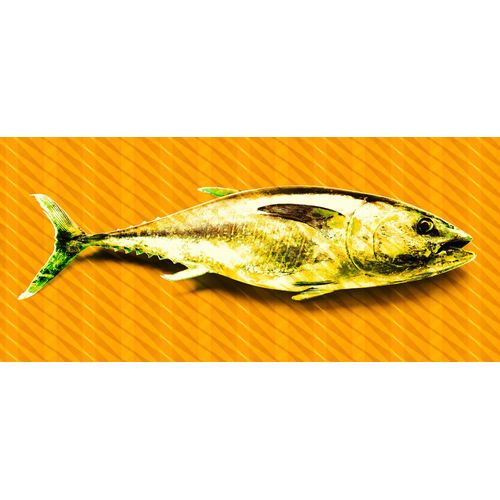 Fototapete ARCHITECTS PAPER 